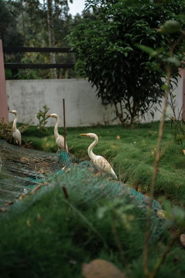 Vythiri Villas Wayanad 外观 照片