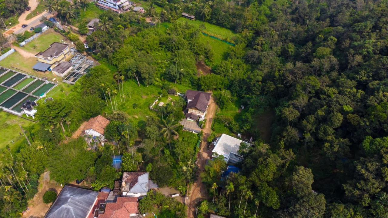Vythiri Villas Wayanad 外观 照片
