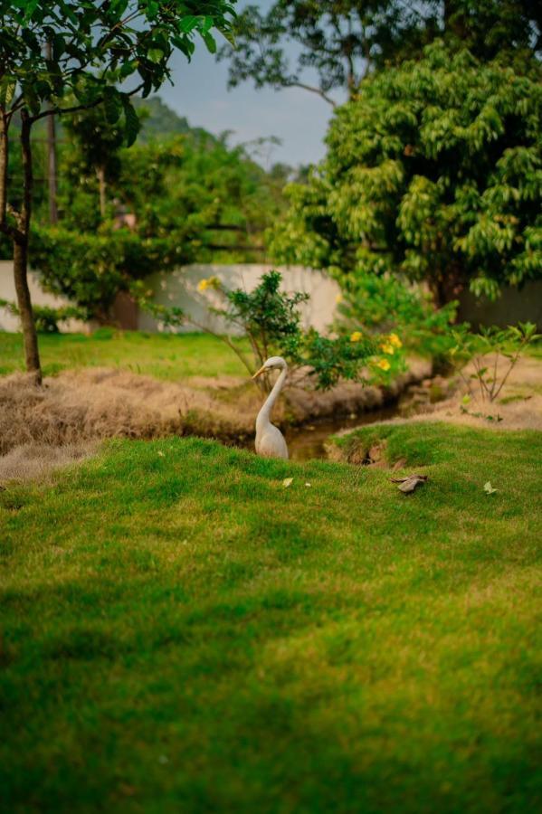 Vythiri Villas Wayanad 外观 照片